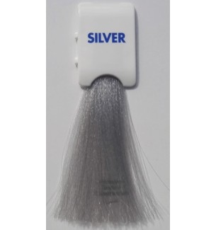Toner senza ammoniaca Argento CRAZY TONER 100 ML Bionic Inebrya Color - prodotti per parrucchieri - hairevolution prodotti