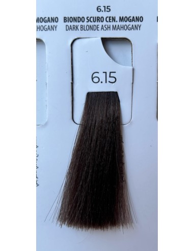Tintura 6.15 farmagan 100ml - prodotti per parrucchieri - hairevolution prodotti