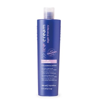 Shampoo Rigenerante Capelli Maturi, Porosi e Trattati HAIR LIFT 300 ML - prodotti per parrucchieri - hairevolution prodotti