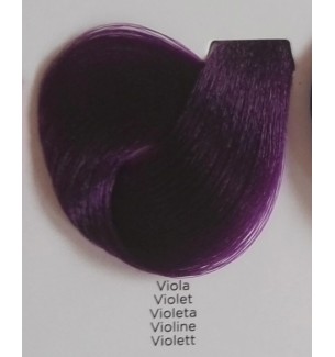 VIOLA 100 ml Inebrya Color - prodotti per parrucchieri - hairevolution prodotti