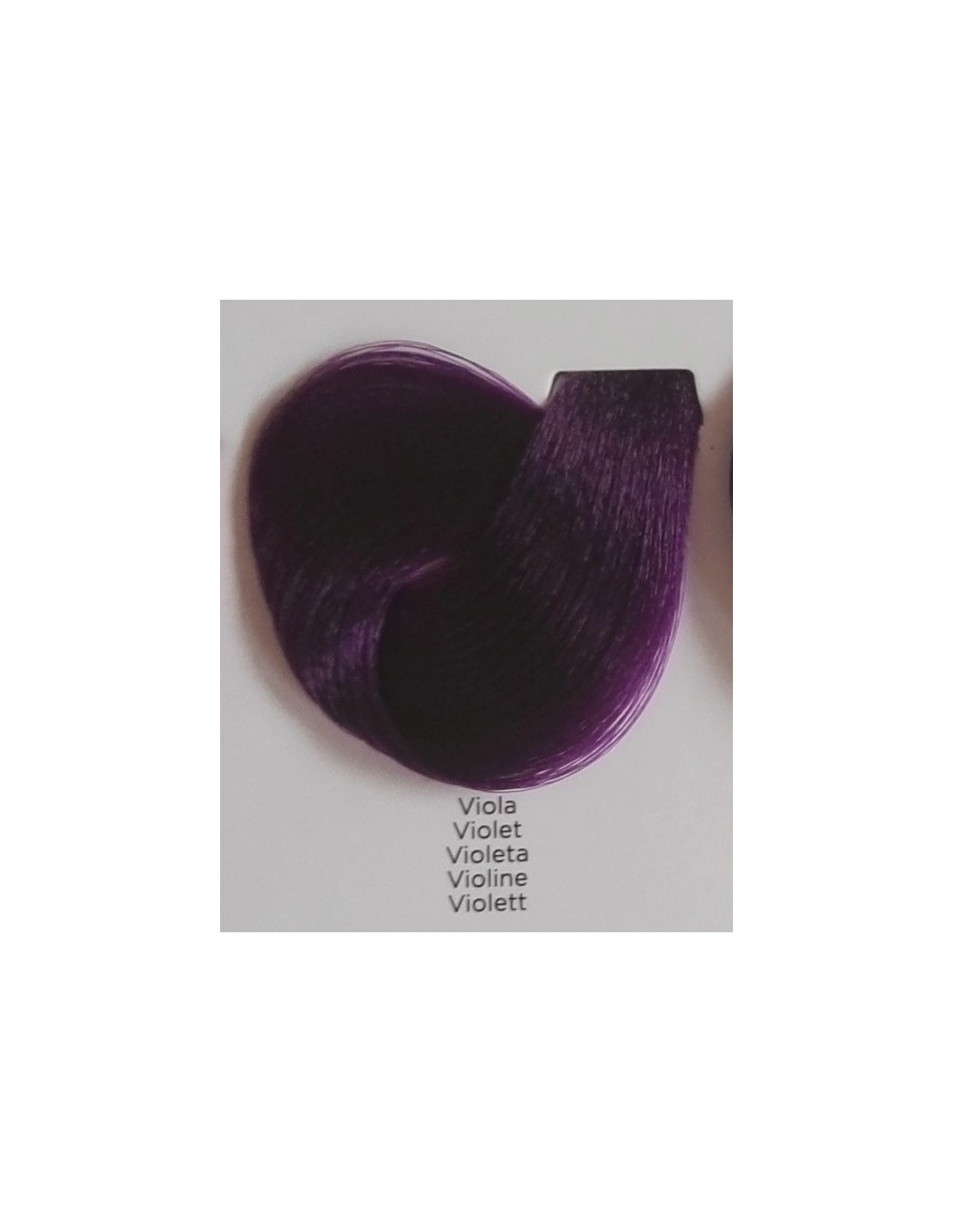 Inter-Vion - Pennello per tinta capelli, viola