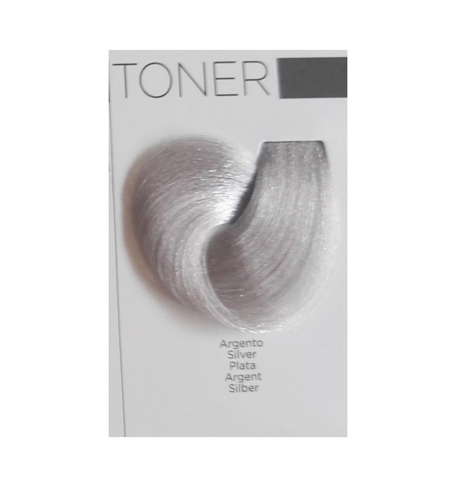 TINTURA TONER ARGENTO INEBRYA 100ML - prodotti per parrucchieri - hairevolution prodotti