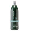 Shampoo Idratante per Tutti i Tipi di Capelli Moisture Gentle 1000 ml - prodotti per parrucchieri - hairevolution prodotti